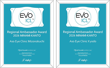 Regional Ambassador Award EVO ICL